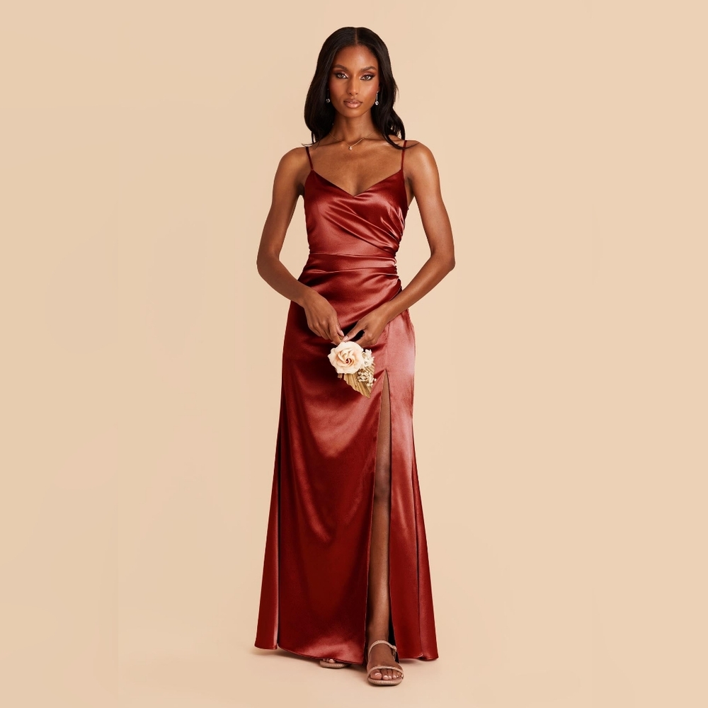 NWT Birdy Grey Catherine Dress - Shiny Satin Spice - Size M